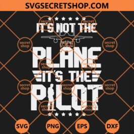 It's Not The Plane It's The Pilot