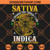 Weed Sativa To Change The Things I Can Indica