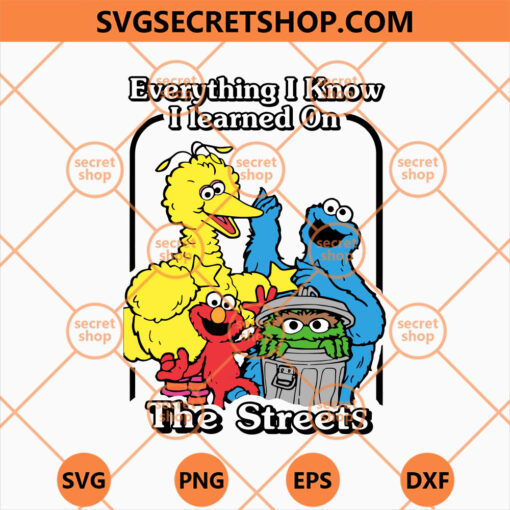Sesame Street Everything I Know I Learned On The Streets
